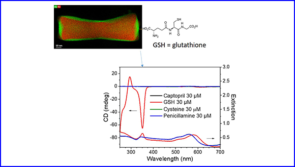 Reshaping and induction of optical activity in gold@silver nanocuboids by chiral glutathione molecules